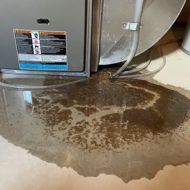 Appliance Leak Cleanup in Reading, MA